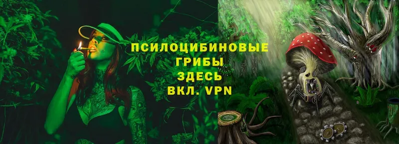 Галлюциногенные грибы MAGIC MUSHROOMS  Княгинино 